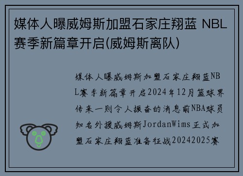 媒体人曝威姆斯加盟石家庄翔蓝 NBL赛季新篇章开启(威姆斯离队)
