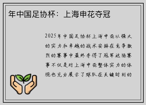 年中国足协杯：上海申花夺冠