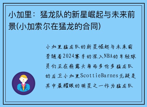 小加里：猛龙队的新星崛起与未来前景(小加索尔在猛龙的合同)
